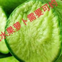 水果萝卜潍县青萝卜山东潍坊萝卜天星希卡利青克力帝王青绿帅