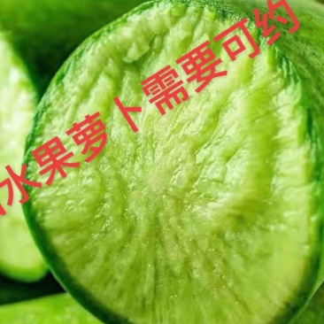 水果萝卜潍县青萝卜山东潍坊萝卜天星希卡利青克力帝王青绿帅