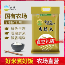 2024新米，品牌加持，国企担当，生态好米，团购🔥爆。