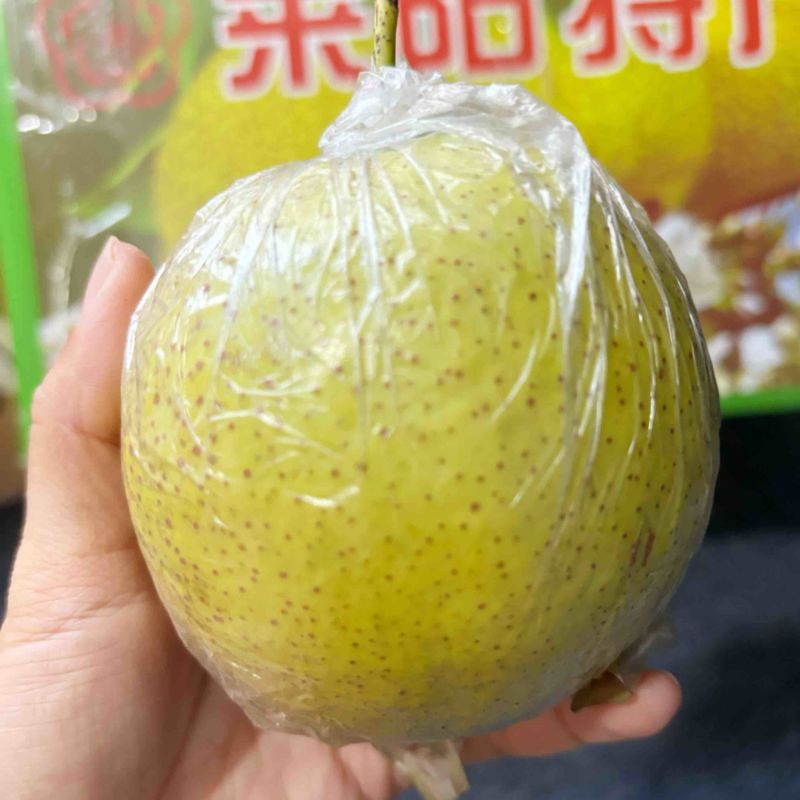 莱阳香水梨，沙土种植，香甜多汁，梨香浓郁,75规格以上