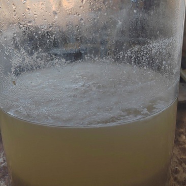 大量供应纯花生肉次料发酵水肥，适合种植和水产养殖使用