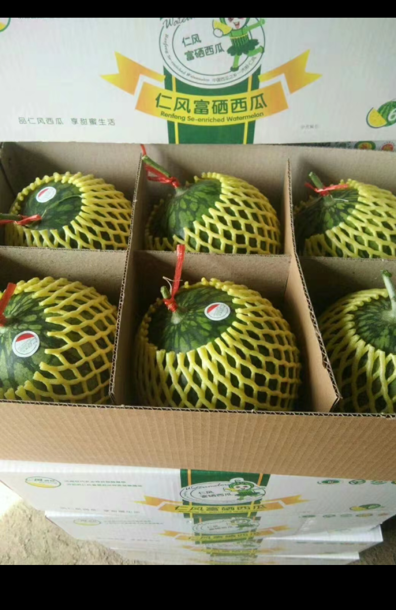 黄壤富硒西瓜即将上市了