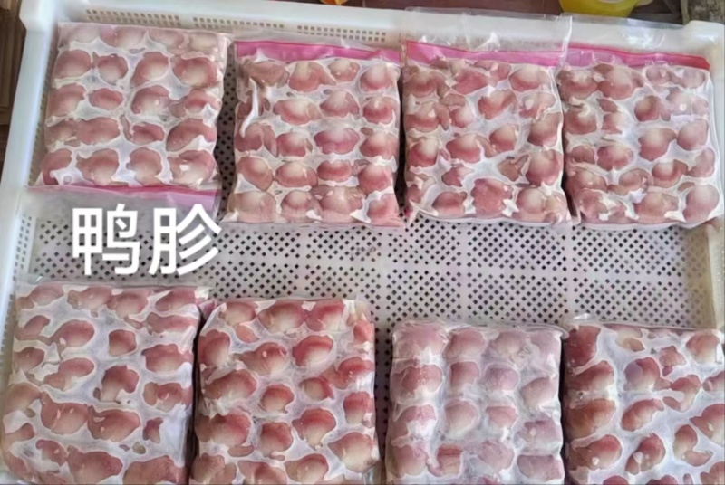 鸭胗规格齐全全国发货量大从优