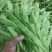 各种芸豆大量批发