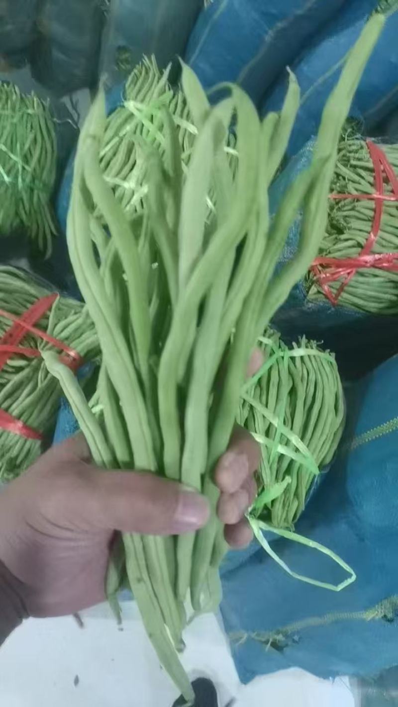各种芸豆大量批发