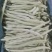 各种芸豆大量批发