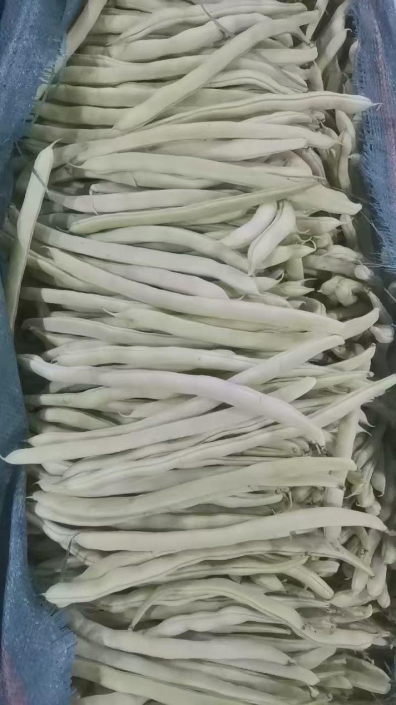 各种芸豆大量批发