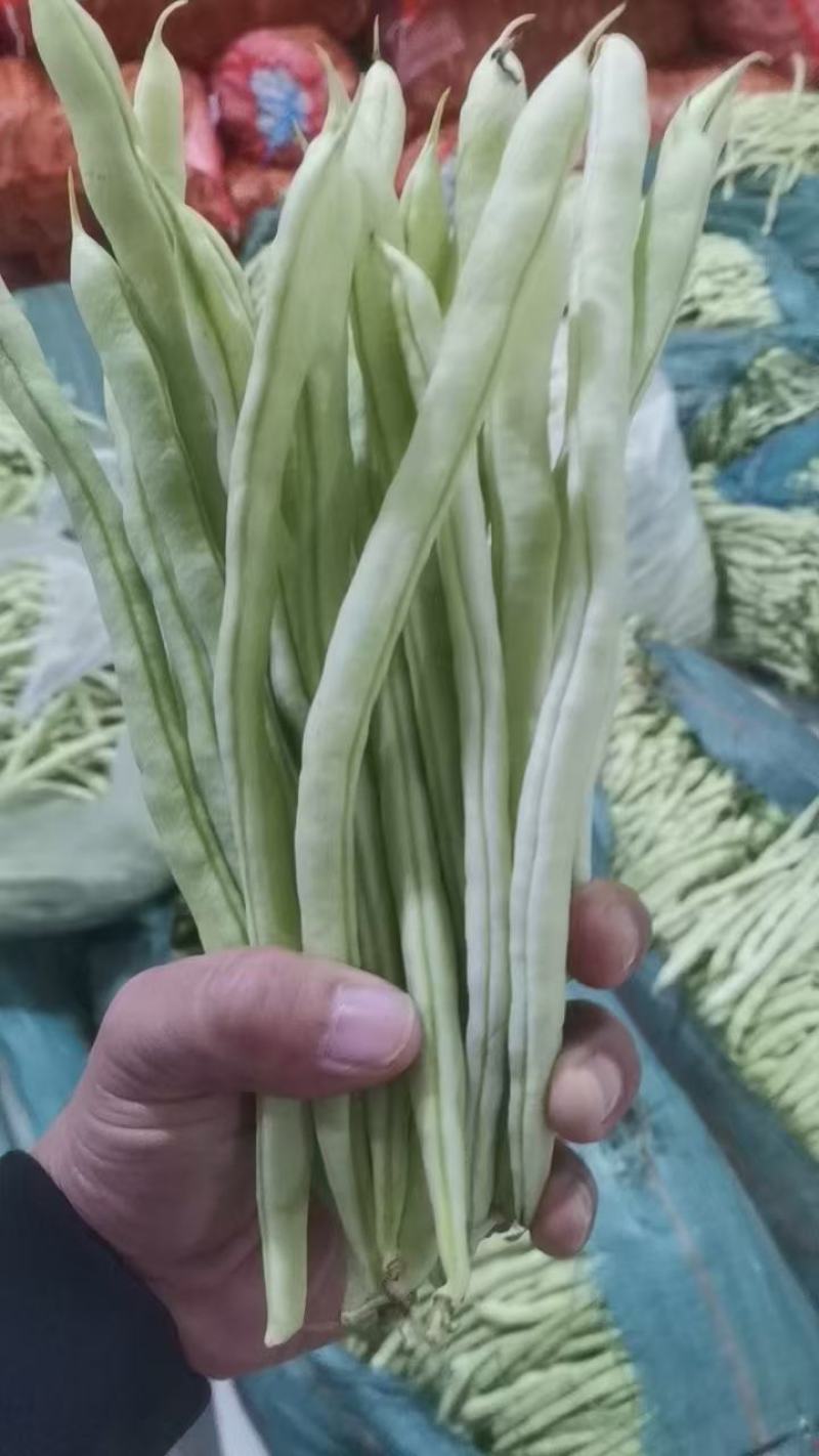 各种芸豆大量批发