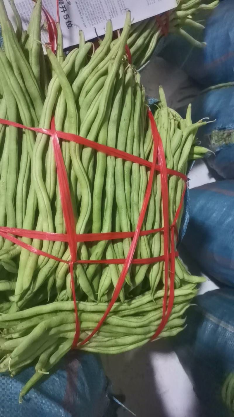各种芸豆大量批发