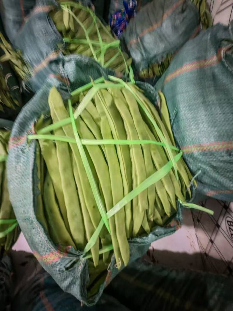 各种芸豆大量批发