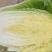 黄心大白菜上市中。