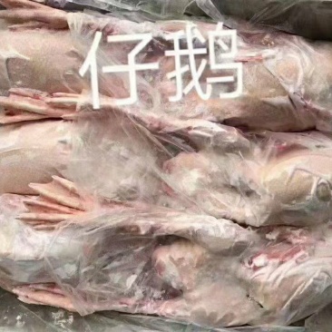 仔鹅