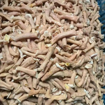 食管