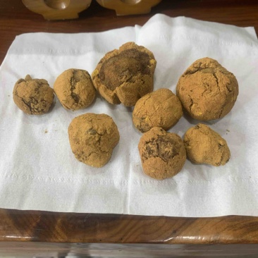天然牛黄