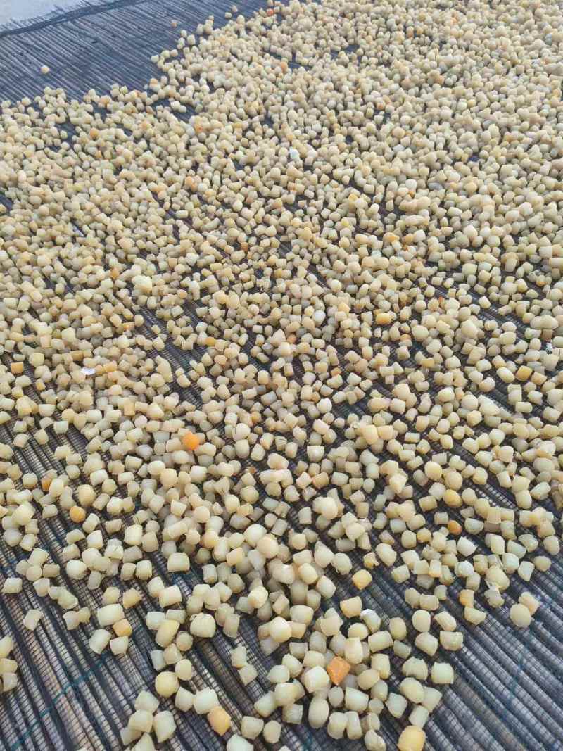 干贝瑶柱，足干，产地一手货源，量大优惠，现货。