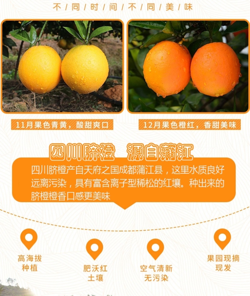 脐橙一件代发实力供应规格齐全对接各大电商平台社区