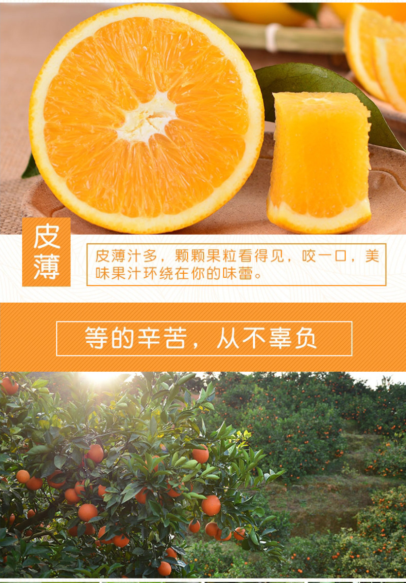 脐橙一件代发实力供应规格齐全对接各大电商平台社区