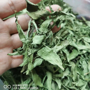 茶叶级甜叶菊纯绿