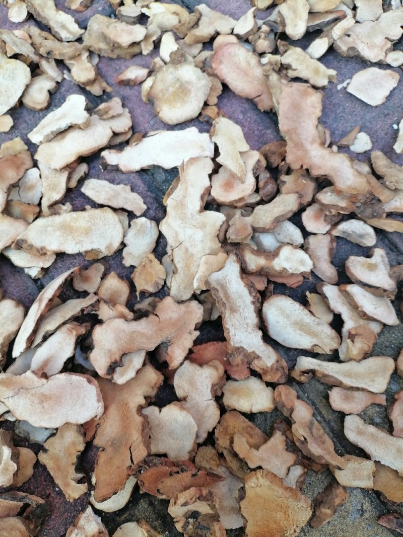 自产加工本地土茯苓干片，粉质，白肉无硫