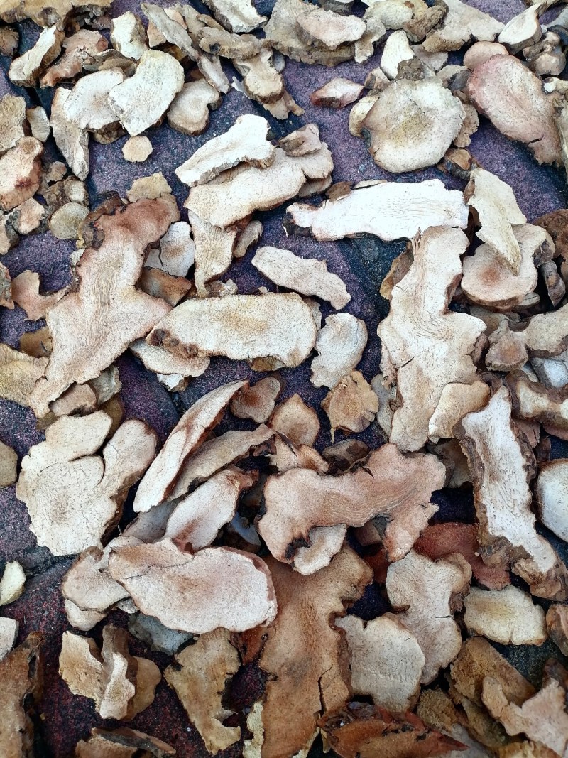 自产加工本地土茯苓干片，粉质，白肉无硫