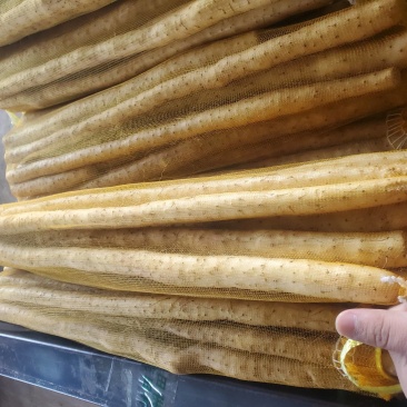 精品小白嘴白山药水洗网袋货箱货产地直发按需包装量大优惠