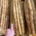 精品小白嘴白山药水洗网袋货箱货产地直发按需包装量大优惠