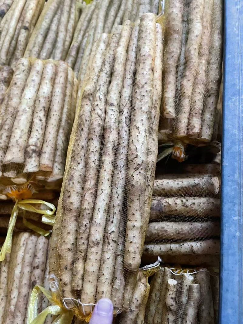 精品小白嘴白山药水洗网袋货箱货产地直发按需包装量大优惠