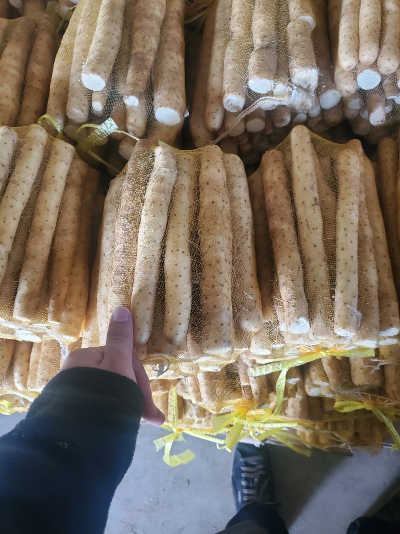 精品小白嘴白山药水洗网袋货箱货产地直发按需包装量大优惠