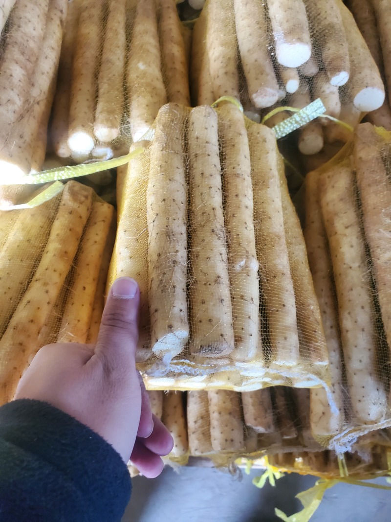 精品小白嘴白山药水洗网袋货箱货产地直发按需包装量大优惠