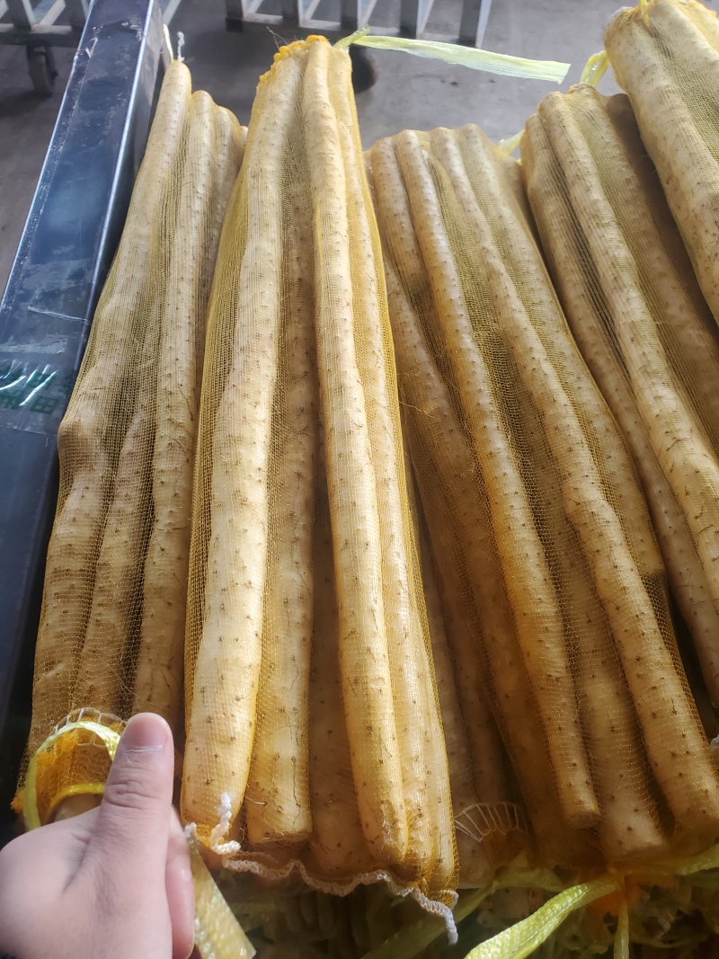 精品小白嘴白山药水洗网袋货箱货产地直发按需包装量大优惠
