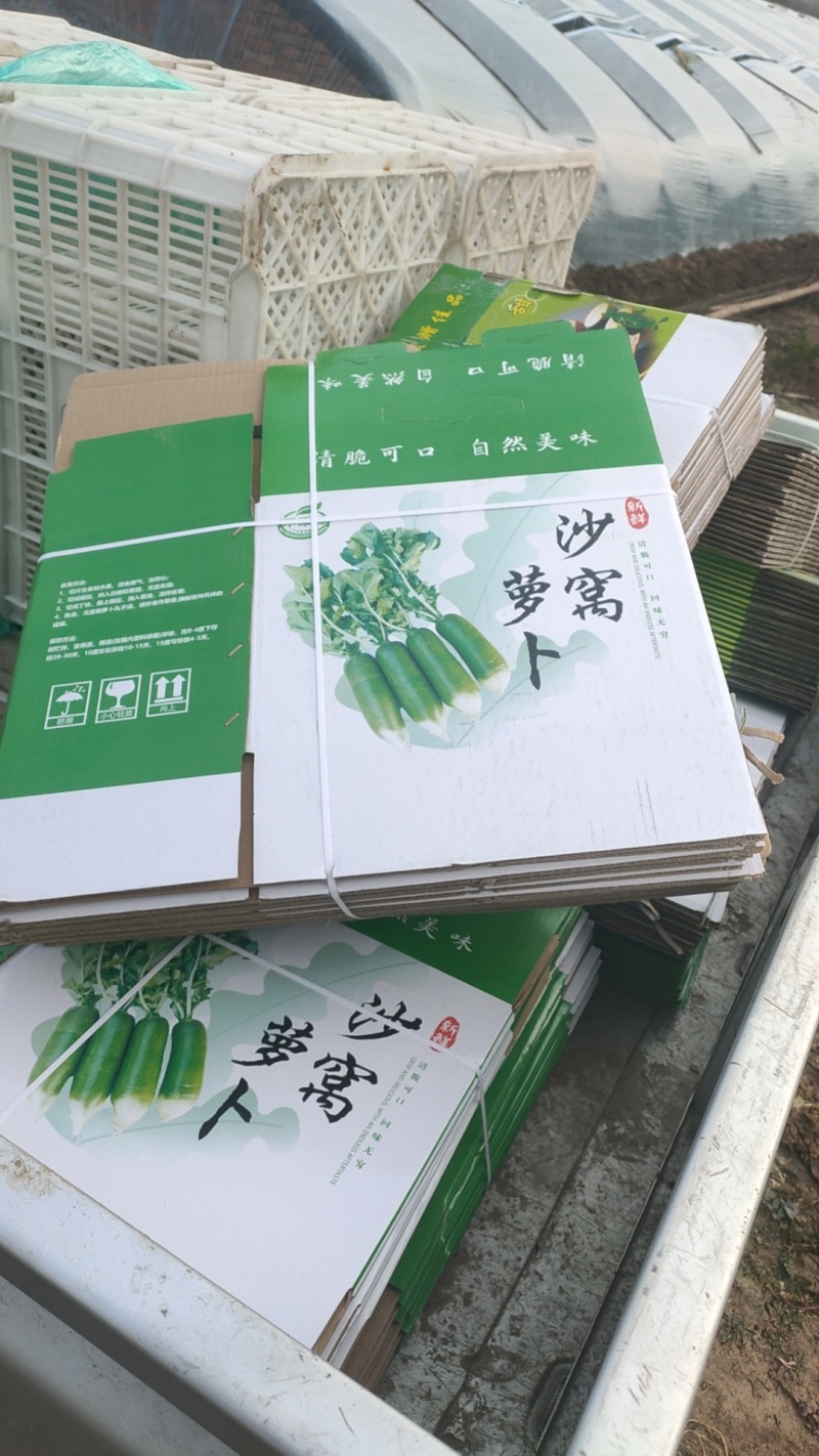 天津老味沙窝萝卜