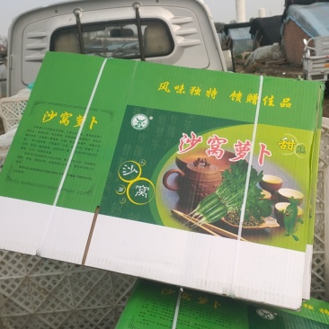 天津老味沙窝萝卜