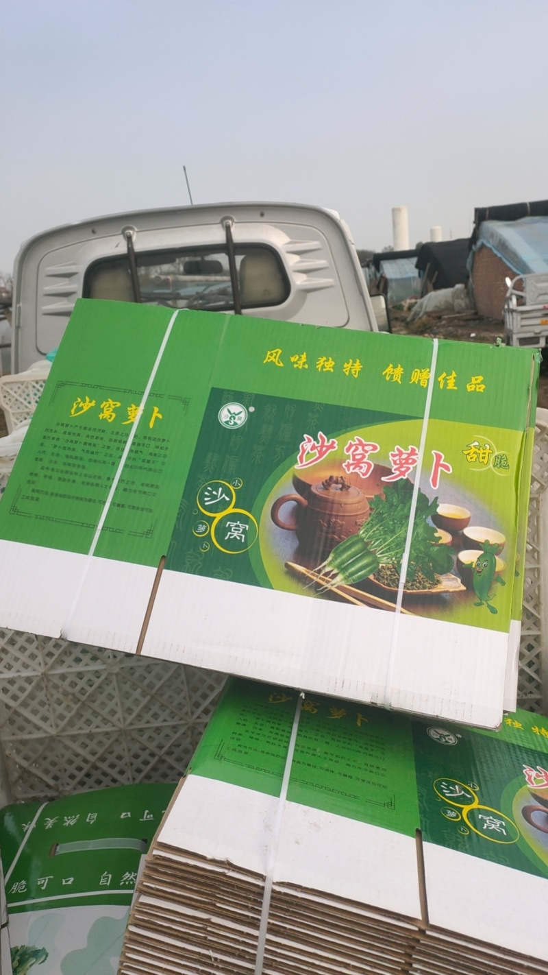 天津老味沙窝萝卜