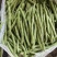 广西四季豆大量上市量大从优保质保量现摘现发对接