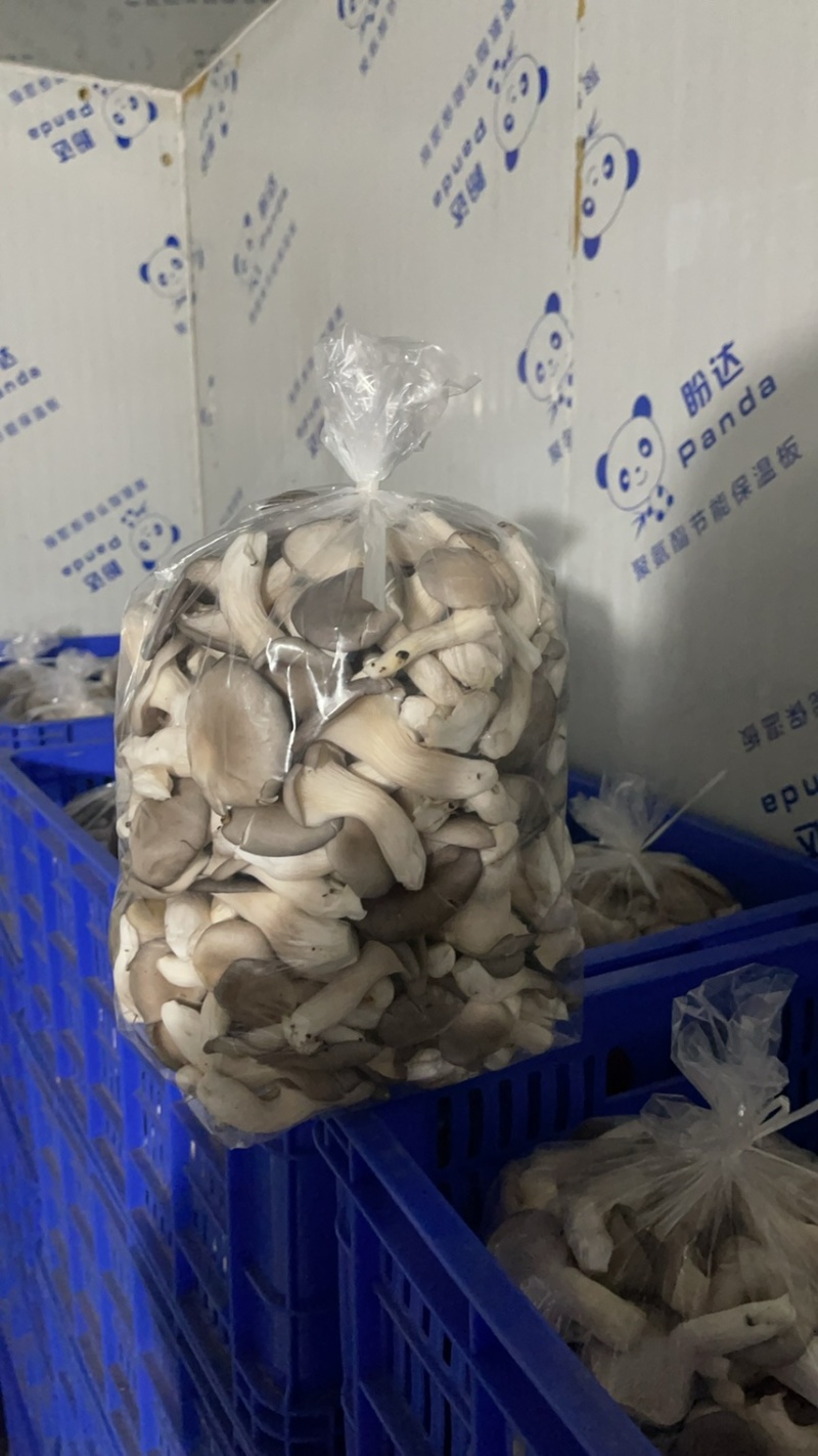 **姬菇