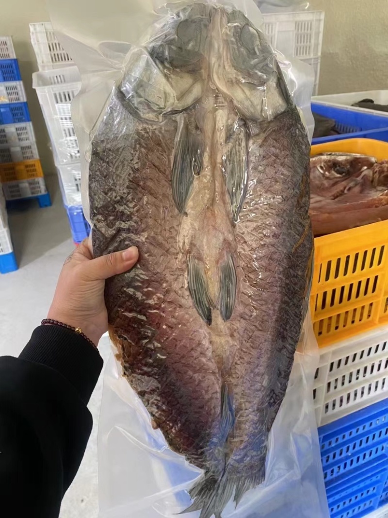 风干螺蛳青工厂直供