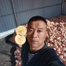 红富士冰糖心苹果80mm起步，地面货，冷库货，海量