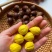 炒货白露长芒