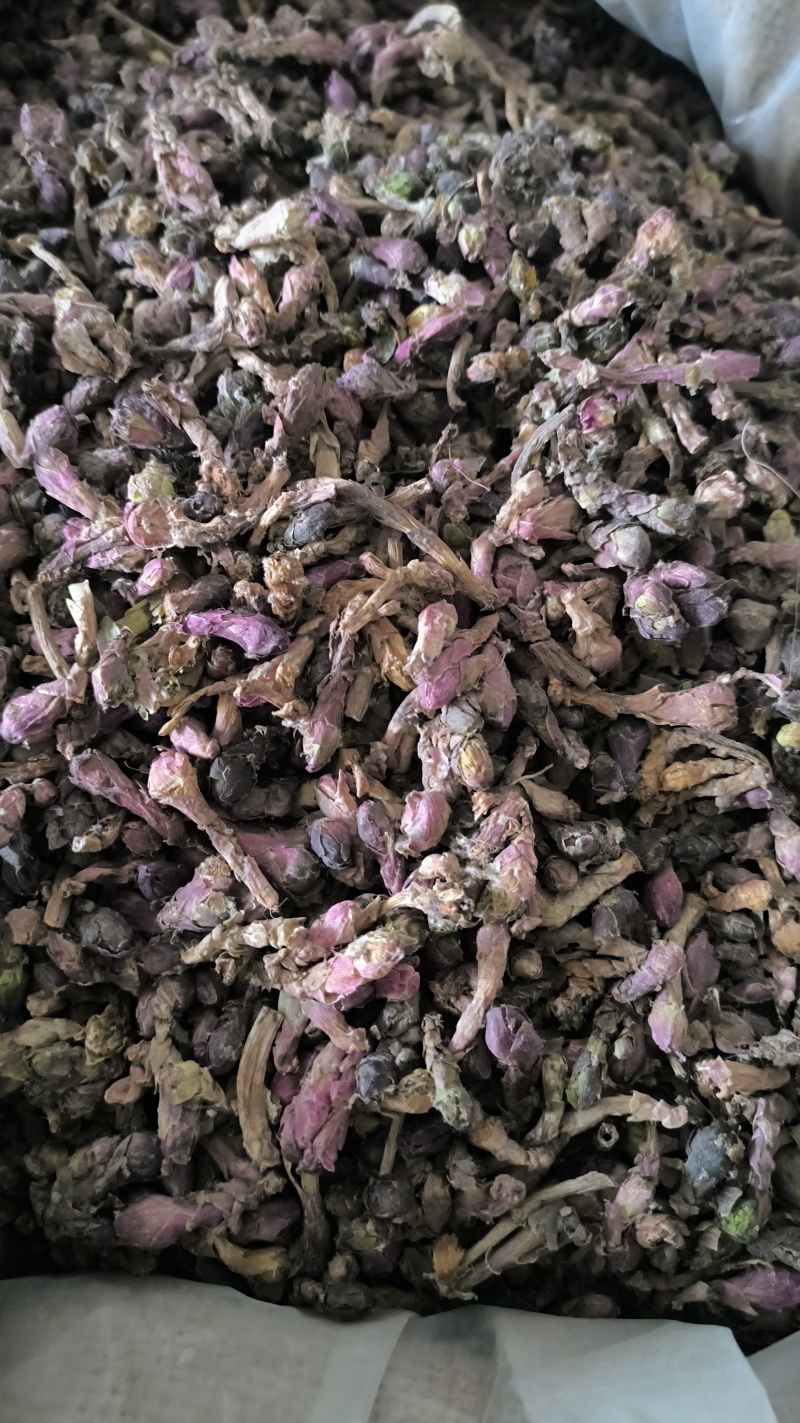 款冬花冬花中药材批发冬花质量保证量大从优