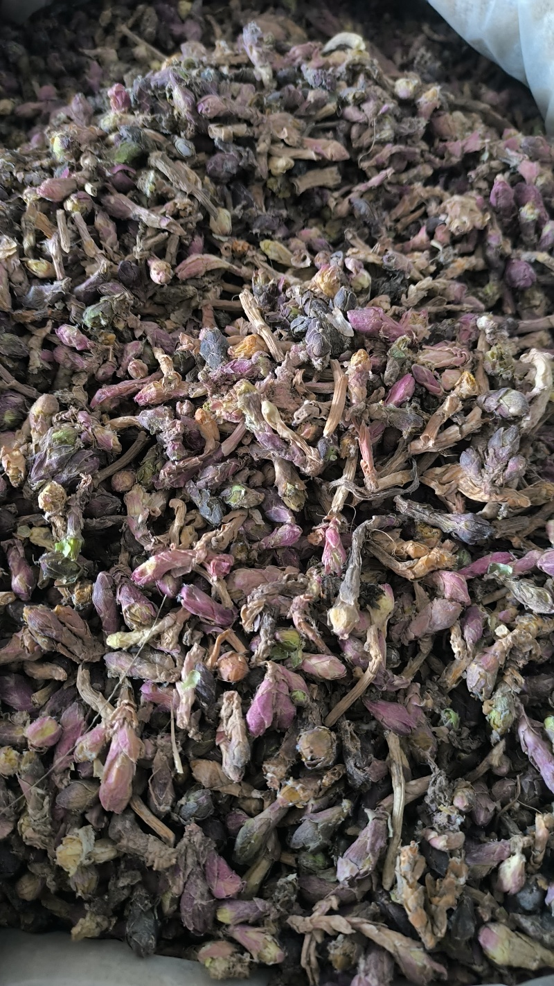 款冬花冬花中药材批发冬花质量保证量大从优
