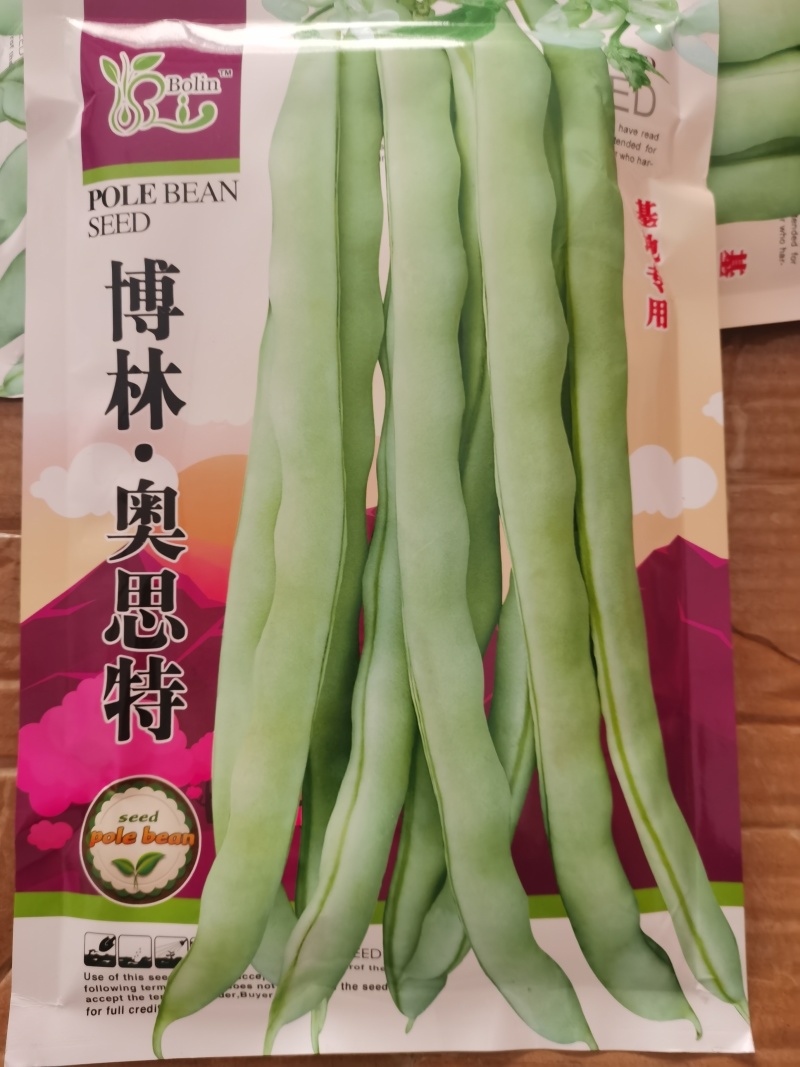 博林️摘不败四季架豆王种子产量高优质