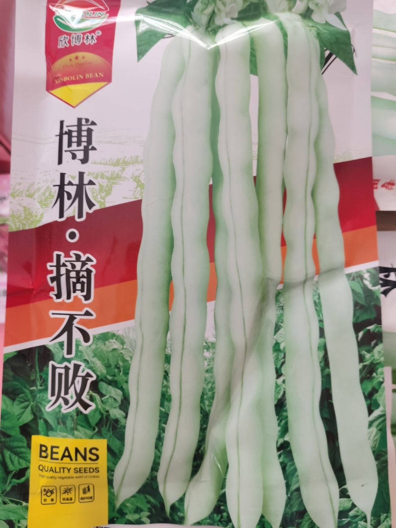 博林️摘不败四季架豆王种子产量高优质