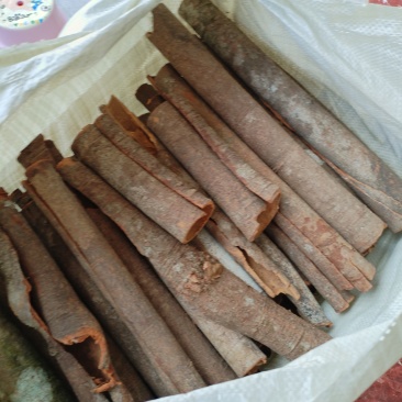 广西桂皮香料产地直发一件代发