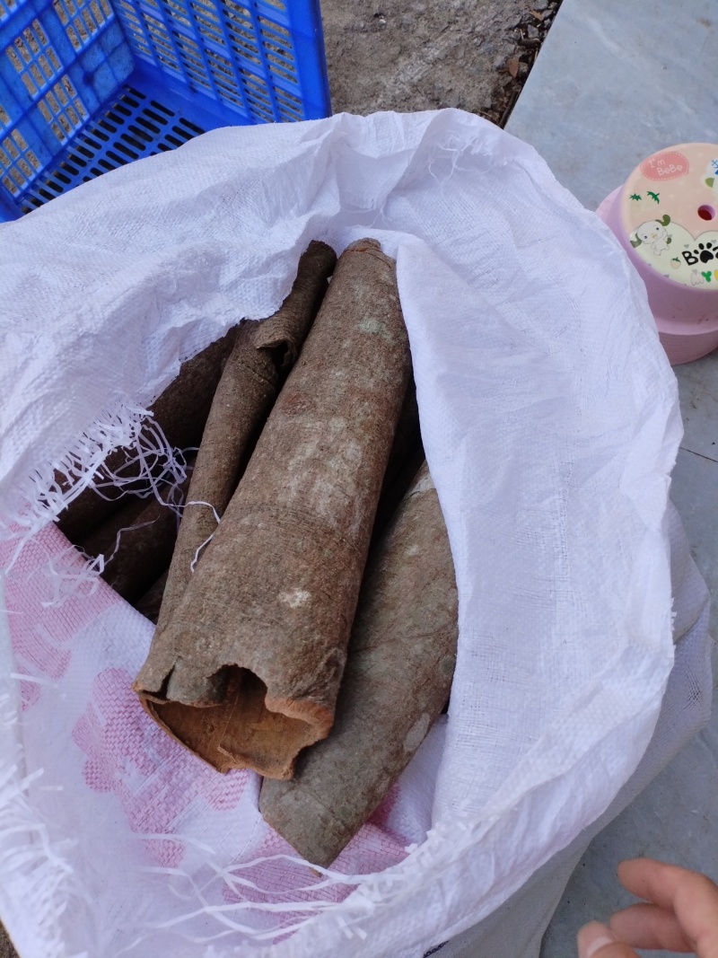 广西桂皮香料产地直发一件代发