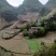 回春草，