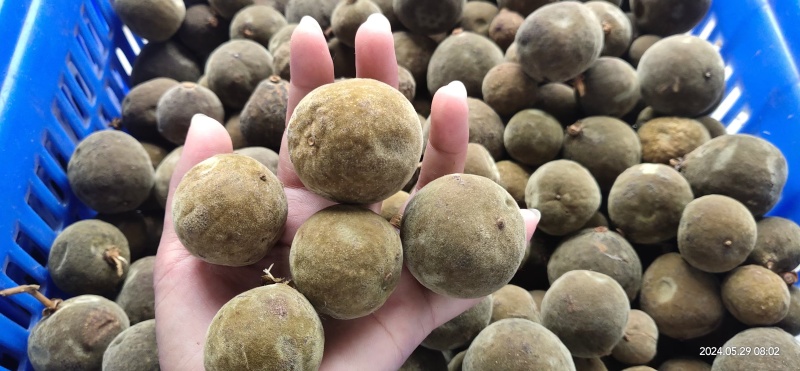 正宗化橘红压果条，2.5，2.8规格，一应俱全！