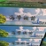 海带苗，海带芽嫩菜海菜海洋蔬菜