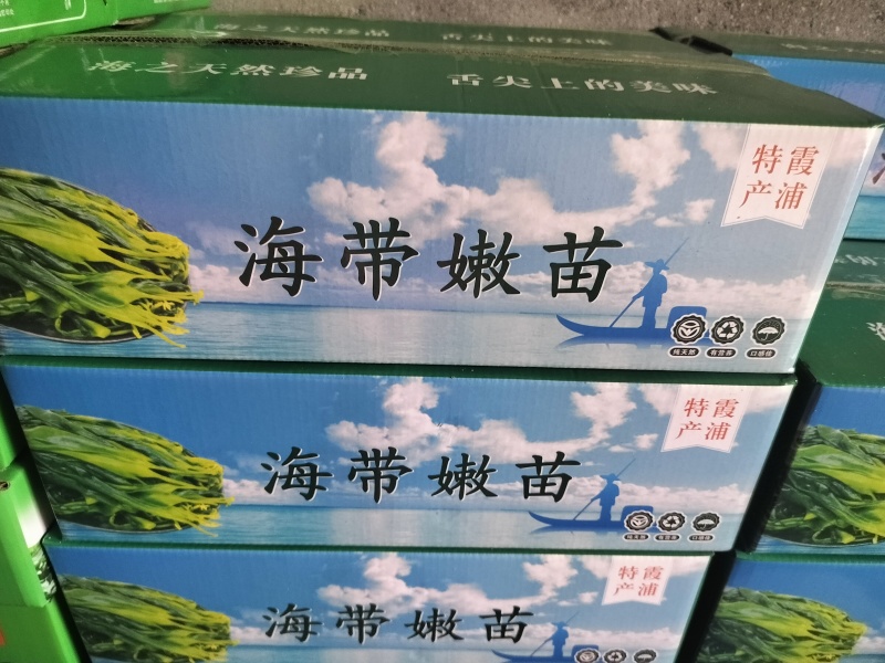 海带苗，海带芽嫩菜海菜海洋蔬菜