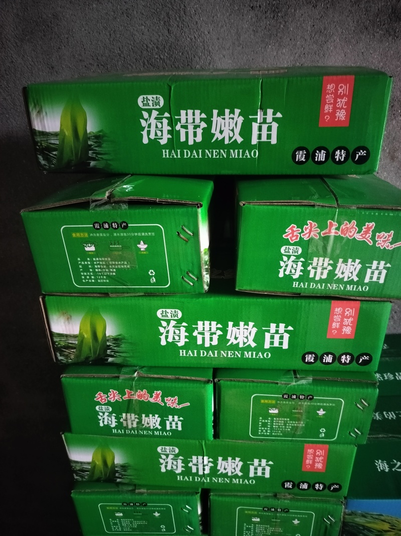 海带苗，海带芽嫩菜海菜海洋蔬菜