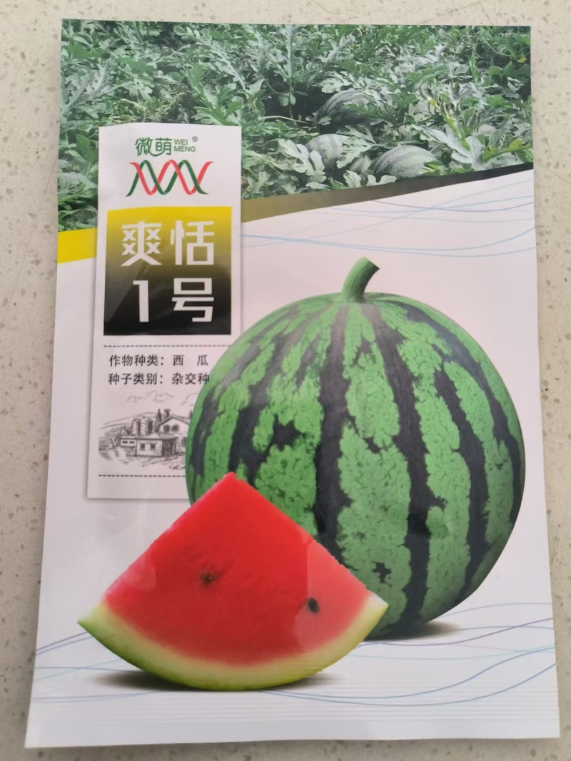 微盟爽恬1号
